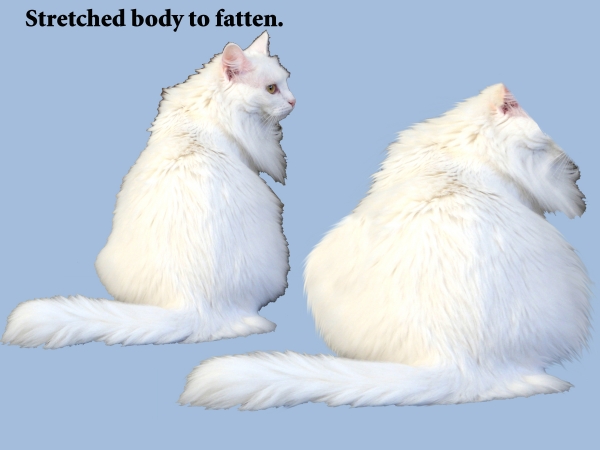 Creation of Abominable Snow Cat: Step 3